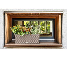 LECHUZA BALCONERA Cottage Trough Poly Resin Self-watering Planter