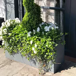 IDEALIST Lite Contemporary Light Concrete Trough Planter