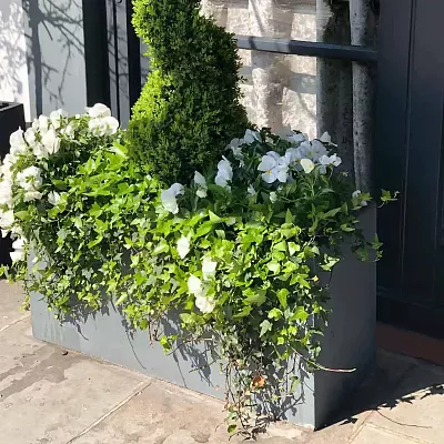 IDEALIST Lite Contemporary Light Concrete Trough Planter