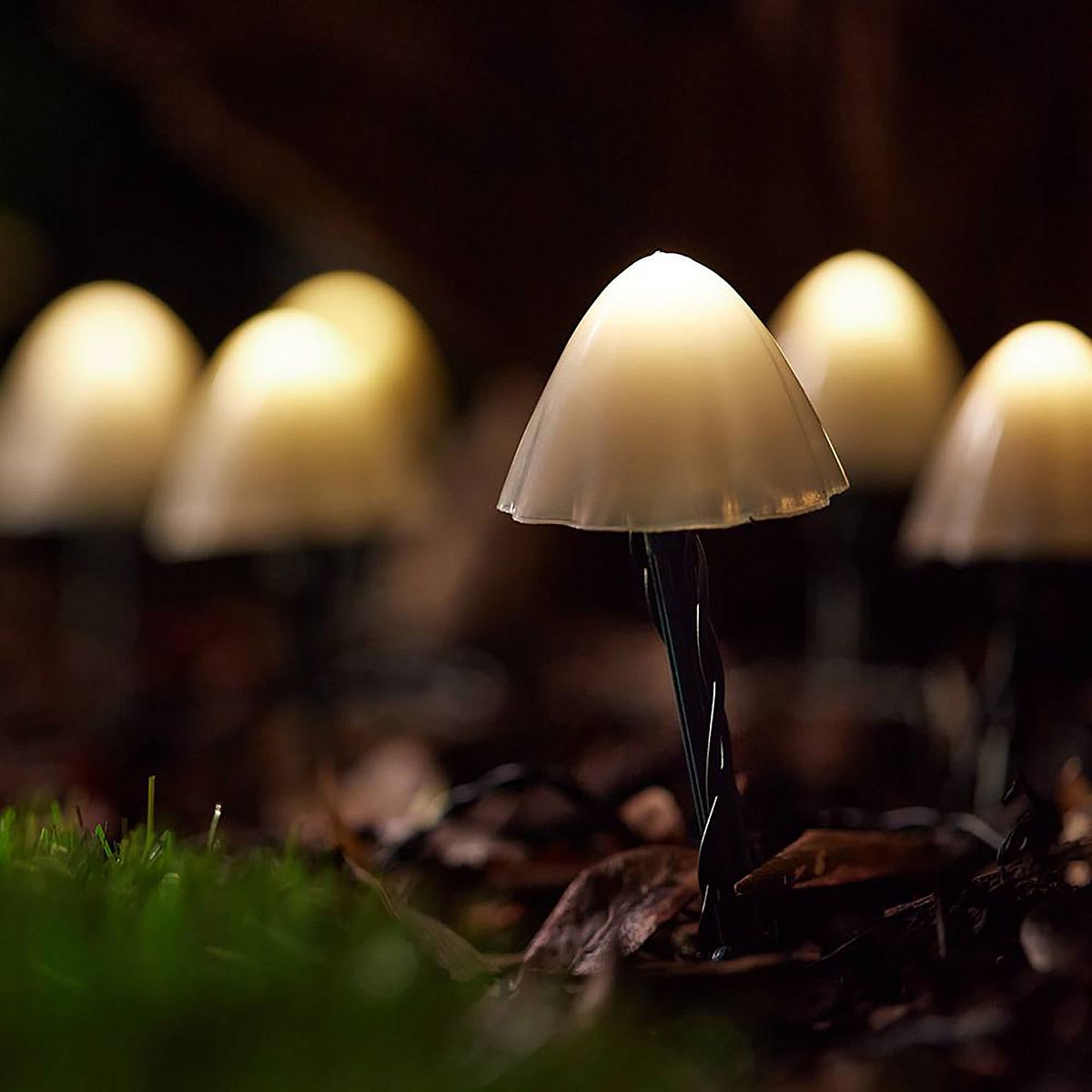 Forest Mushroom Premium Outdoor Solar Garden Lights