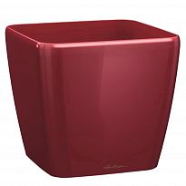 LECHUZA QUADRO Premium 28 Scarlet Red High Gloss Poly Resin  Planter O...