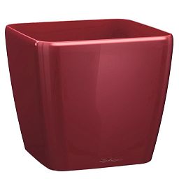 LECHUZA QUADRO Square Poly Resin Planter Only