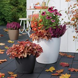 LECHUZA CLASSICO Color Round Poly Resin Self-watering Planter