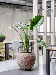 Lava Ceramic Planter | Indoor and Outdoor Plant Pot