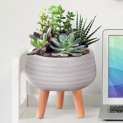 IDEALIST Lite Plaited Style Bowl Planter on Legs, Round Pot Plant Stand Indoor