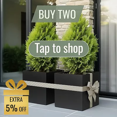 IDEALIST Lite Square Box Contemporary Light Concrete Planter
