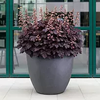 IDEALIST Lite 40cm Garden Planter | Dark Grey Washed Light Concrete Eg...