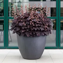 IDEALIST Lite Contemporary Light Concrete Egg Planter