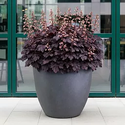 IDEALIST Lite Contemporary Light Concrete Egg Planter