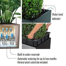LECHUZA CUBE Square Poly Resin Self-watering Planter