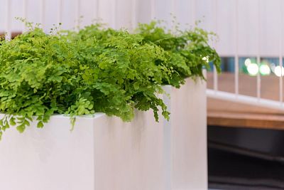 Square Fiberstone Planter by Idealist Premium JUMBO