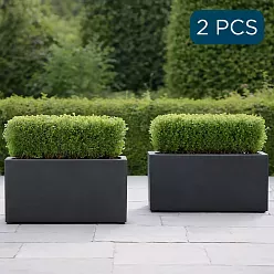 IDEALIST Lite Contemporary Light Concrete High Trough Planter Set