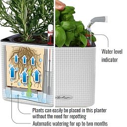 LECHUZA CUBE Color Square Poly Resin Indoor Self-watering Planter Set