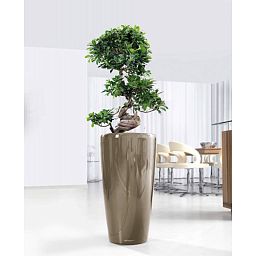 LECHUZA Rondo Round Tall Poly Resin Self-watering Planter