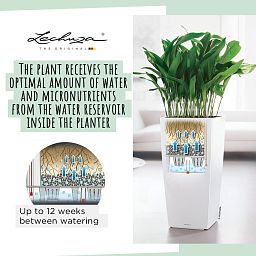 LECHUZA CUBICO Square Tall Poly Resin Self-watering Planter