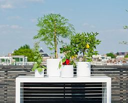 Fiberstone Glossy Puk Light Planter by Idealist Premium