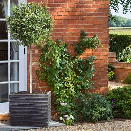 IDEALIST Lite Straw Ribbed Square Outdoor Planter