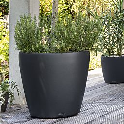 LECHUZA CLASSICO Color Round Poly Resin Self-watering Planter