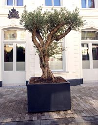 Florida Outdoor Aluminum Square Planter