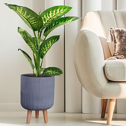 IDEALIST Lite Ribbed Cylinder Planter on Legs, Round Pot Plant Stand Indoor