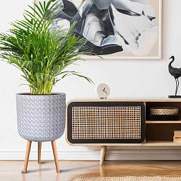 IDEALIST Lite Faceted Effect Planter on Legs