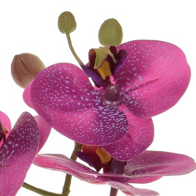 AN-Phalaenopsis Real Touch in Pot Artificial Flower Plant