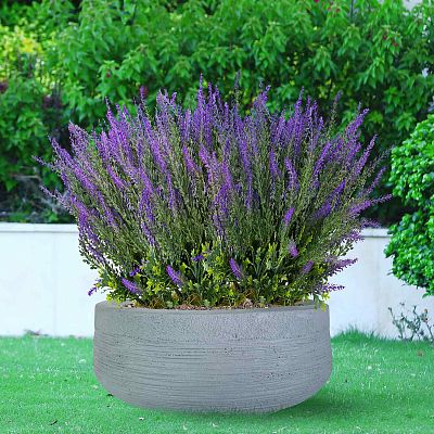 IDEALIST Lite Ribbed Light Concrete Bowl Planter