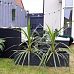 Ribbed Light Concrete Trough Planter by Idealist Lite