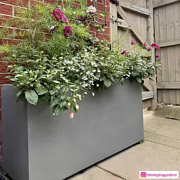 IDEALIST Lite Contemporary Light Concrete High Trough Planter