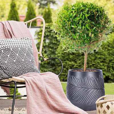 IDEALIST Lite Leaf Embossed Egg Planter