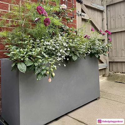 IDEALIST Lite Contemporary Light Concrete High Trough Planter