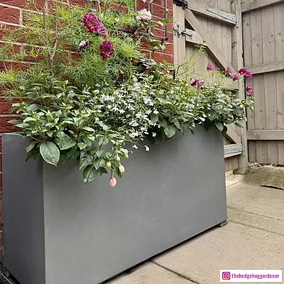 IDEALIST Lite Contemporary Light Concrete High Trough Planter