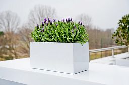 WINDOW BOX Fiberstone Planter by Idealist Premium Balcony Glossy