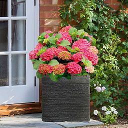 IDEALIST Lite Ribbed Light Concrete Square Planter