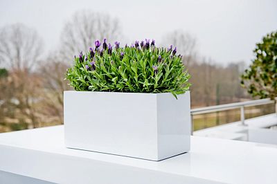 WINDOW BOX Fiberstone Planter by Idealist Premium Balcony Glossy