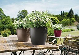 LECHUZA CLASSICO Color Round Poly Resin Self-watering Planter Set