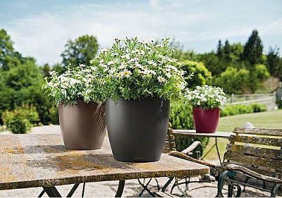 LECHUZA CLASSICO Color Round Poly Resin Self-watering Planter Set