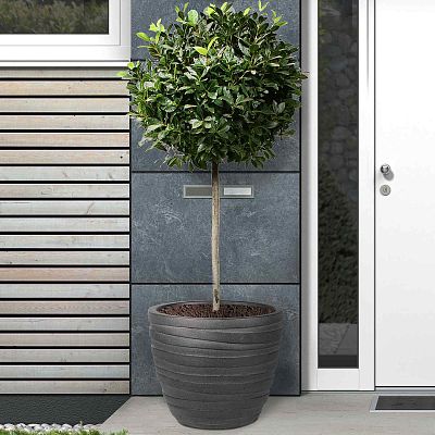 IDEALIST Lite Row Light Concrete Egg Planter