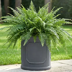 IDEALIST Chelsea Light Concrete Cylinder Garden Planter