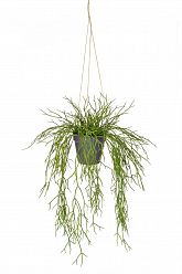 Hanging in Rusted Pot Artificial Grass Plant