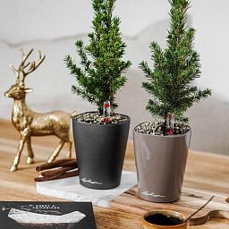 LECHUZA DELTINI|MINI-DELTINI Round Poly Resin Indoor Self-watering Planter