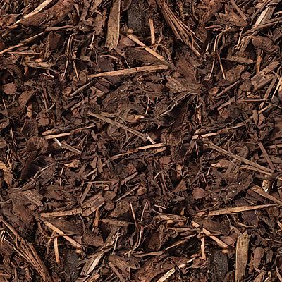 Heart of Eden Decorative Wood Bark