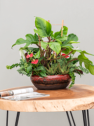 Amora Bowl Glazed Clay Planter