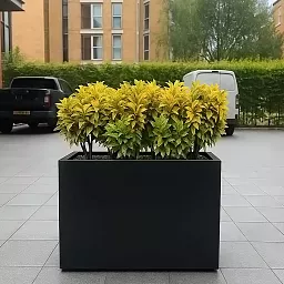 IDEALIST Lite Contemporary Light Concrete Trough Planter
