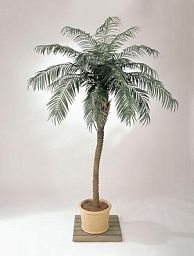 Palm Artificial Tree Plant