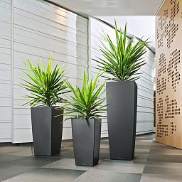 LECHUZA CUBICO ALTO Square Tall Poly Resin Self-watering Planter