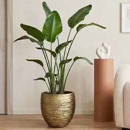IDEALIST Lite Row Style Round Indoor Planter
