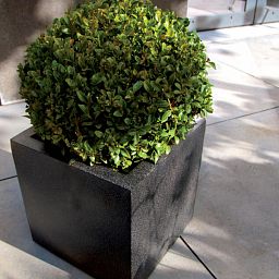 Square Fiberstone Contemporary Planter by Cadix Capi Lux