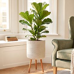 IDEALIST Lite Indoor Plant Pot, Ribbed Planter on Legs