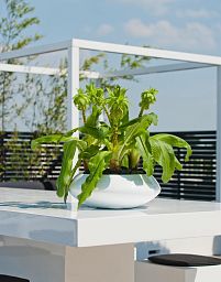 Round Fiberstone Bowl Glossy Tara Planter by Idealist Premium